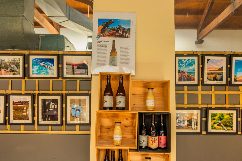 Client gaudint d'un servei de cafeteria en un dels entorns d'aprenentatge real d'Anem per Feina.