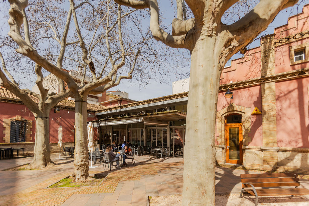 Espai de treball organitzat en una terrassa, representant l'autonomia i la gestió del temps en el lloc de treball.