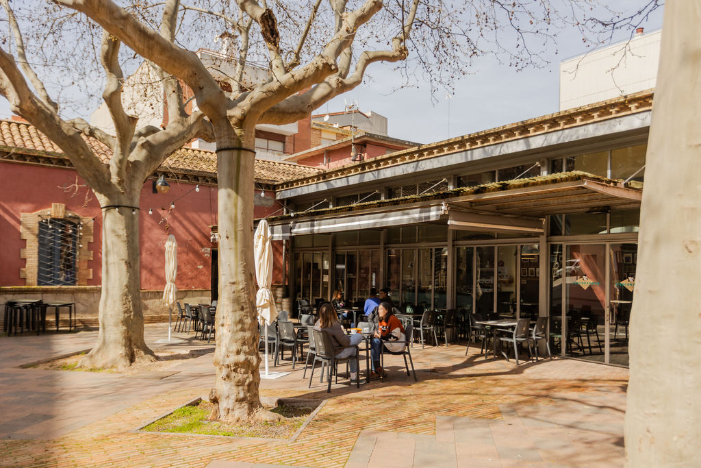 Terrassa exterior d'un establiment d'Anem per Feina sota l'ombra dels arbres al Penedès.